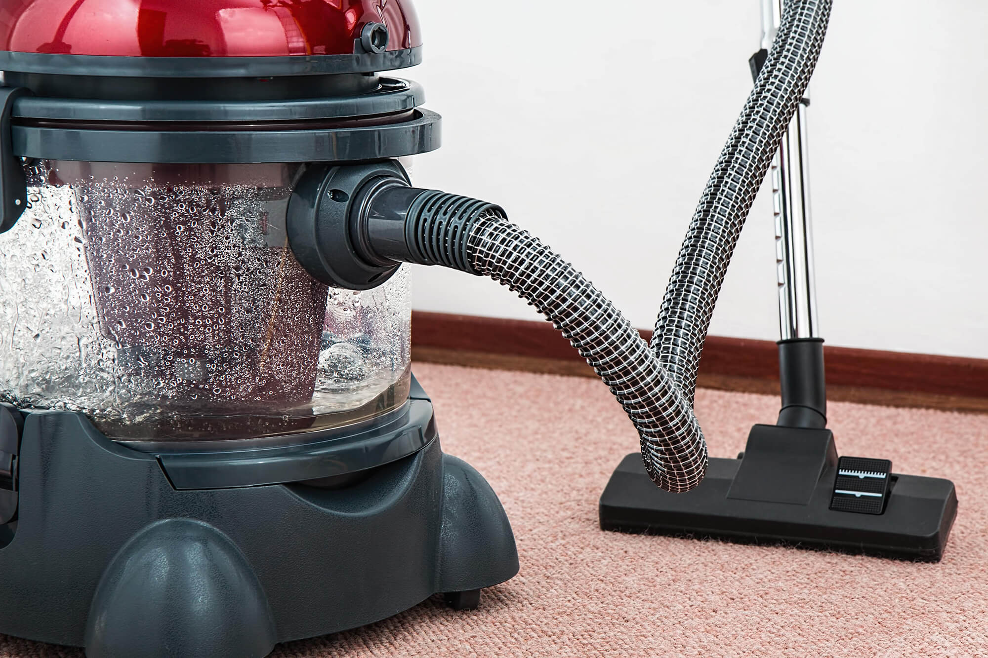 carpet cleaning chores